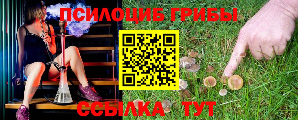 Галлюциногенные грибы Magic Shrooms Жигулёвск
